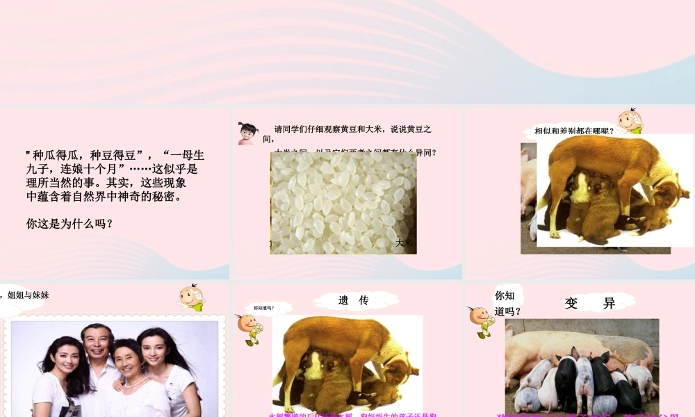 五年级科学下册 4.1《从种瓜得瓜说起》课件1 湘教版-湘教版小学五年级下册自然科学课件