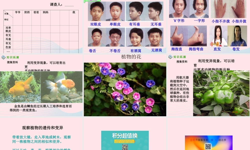 五年级科学下册 4.1《从种瓜得瓜说起》课件1 湘教版-湘教版小学五年级下册自然科学课件