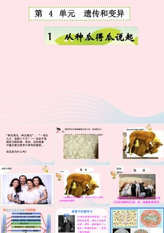 五年级科学下册 4.1《从种瓜得瓜说起》课件1 湘教版-湘教版小学五年级下册自然科学课件