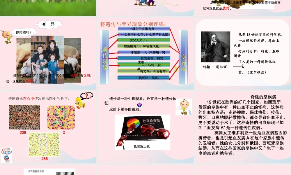 五年级科学下册 4.1《从种瓜得瓜说起》课件2 湘教版-湘教版小学五年级下册自然科学课件