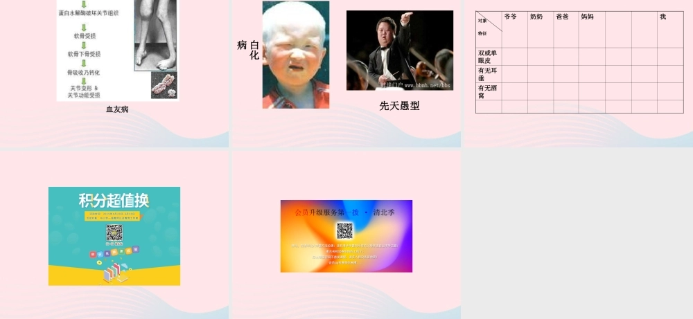 五年级科学下册 4.1《从种瓜得瓜说起》课件2 湘教版-湘教版小学五年级下册自然科学课件