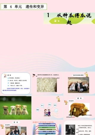 五年级科学下册 4.1《从种瓜得瓜说起》课件2 湘教版-湘教版小学五年级下册自然科学课件