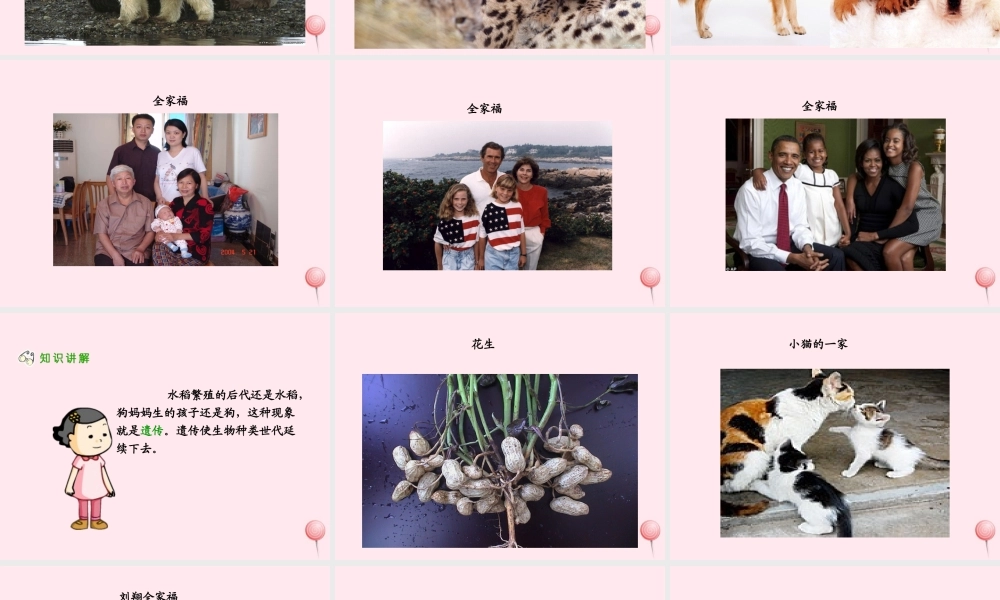 五年级科学下册 4.1《从种瓜得瓜说起》课件3 湘教版-湘教版小学五年级下册自然科学课件