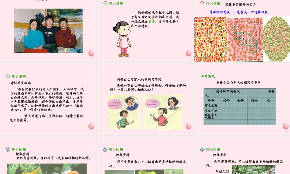 五年级科学下册 4.1《从种瓜得瓜说起》课件3 湘教版-湘教版小学五年级下册自然科学课件