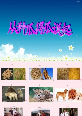 五年级科学下册 4.1《从种瓜得瓜说起》课件3 湘教版-湘教版小学五年级下册自然科学课件