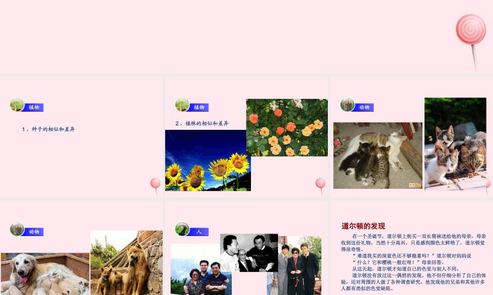 五年级科学下册 4.1《从种瓜得瓜说起》课件4 湘教版-湘教版小学五年级下册自然科学课件