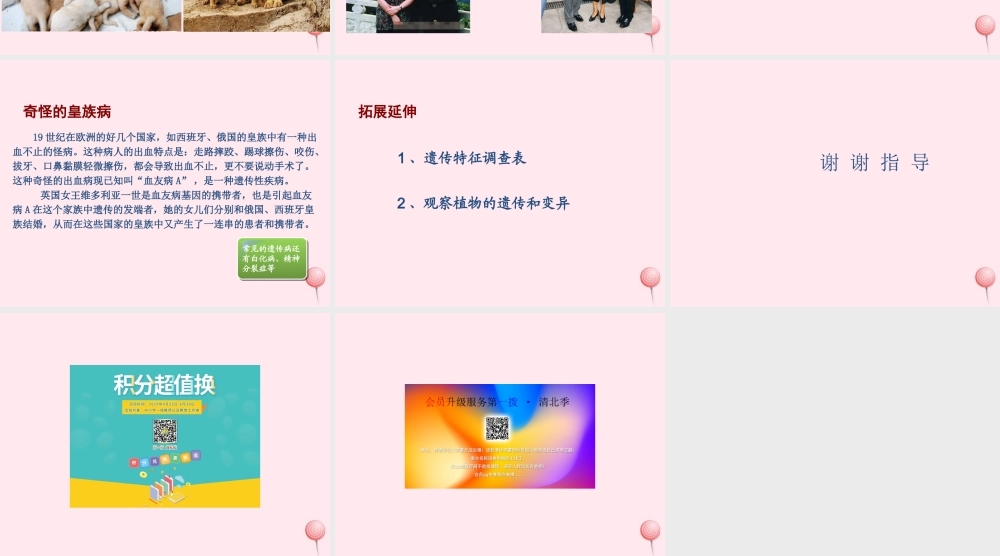 五年级科学下册 4.1《从种瓜得瓜说起》课件4 湘教版-湘教版小学五年级下册自然科学课件