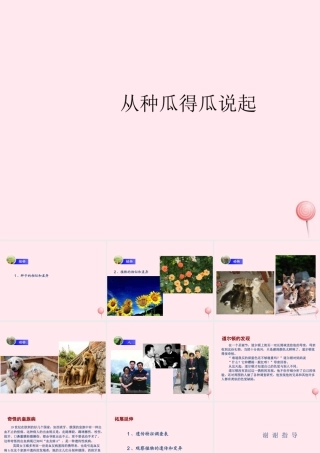 五年级科学下册 4.1《从种瓜得瓜说起》课件4 湘教版-湘教版小学五年级下册自然科学课件