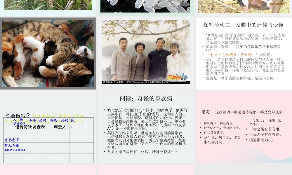 五年级科学下册 4.1《从种瓜得瓜说起》课件5 湘教版-湘教版小学五年级下册自然科学课件