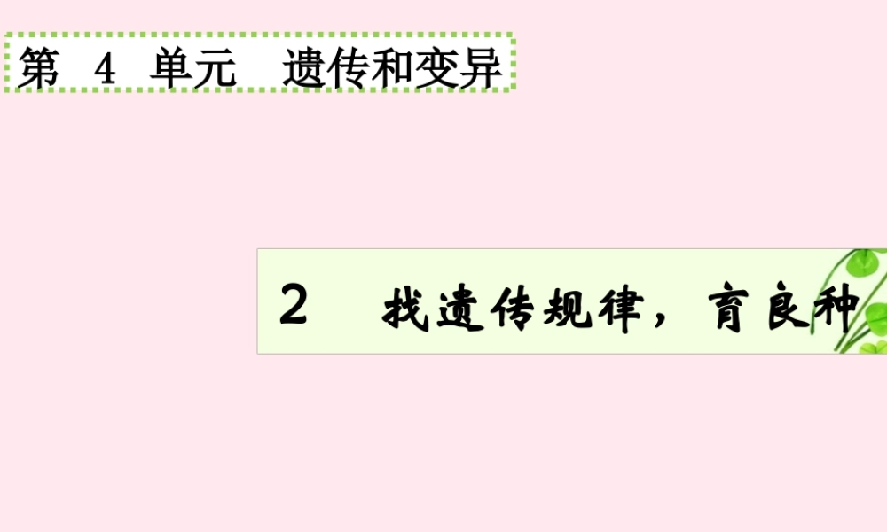 五年级科学下册 4.2《找遗传规律，育良种》课件2 湘教版-湘教版小学五年级下册自然科学课件