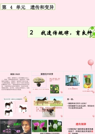 五年级科学下册 4.2《找遗传规律，育良种》课件2 湘教版-湘教版小学五年级下册自然科学课件