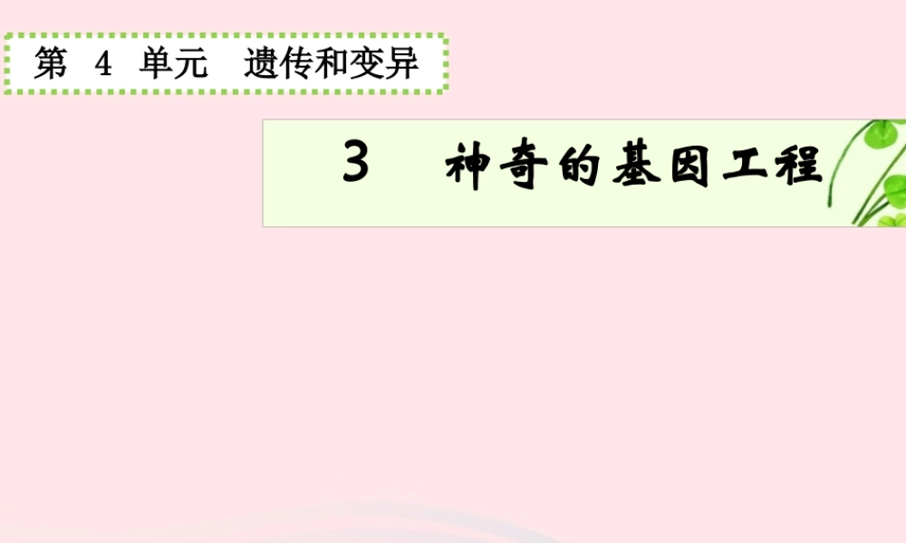 五年级科学下册 4.3《神奇的基因工程》课件1 湘教版-湘教版小学五年级下册自然科学课件