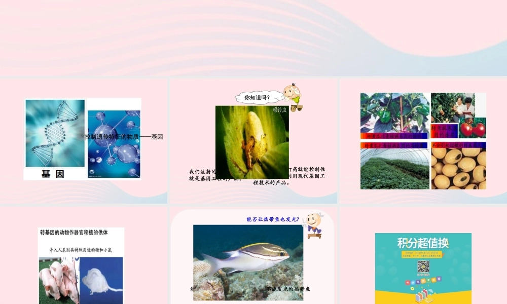 五年级科学下册 4.3《神奇的基因工程》课件1 湘教版-湘教版小学五年级下册自然科学课件