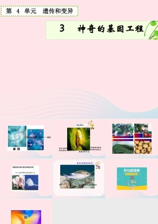 五年级科学下册 4.3《神奇的基因工程》课件1 湘教版-湘教版小学五年级下册自然科学课件