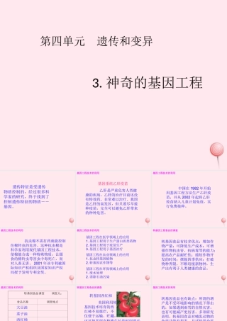 五年级科学下册 4.3《神奇的基因工程》课件2 湘教版-湘教版小学五年级下册自然科学课件