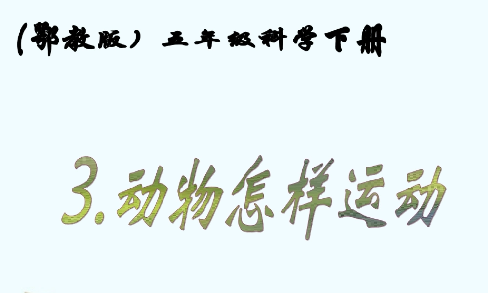 五年级科学下册 16.1 动物运动方式的多样性课件 鄂教版