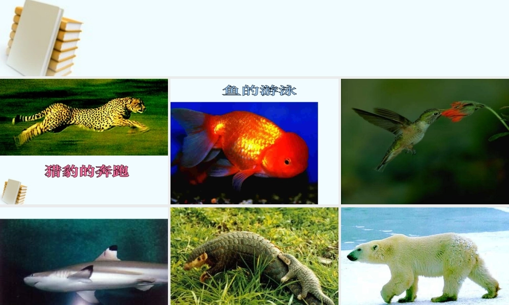 五年级科学下册 16.1 动物运动方式的多样性课件 鄂教版