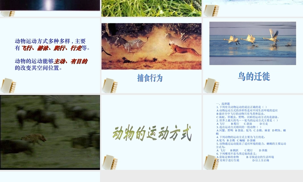 五年级科学下册 16.1 动物运动方式的多样性课件 鄂教版