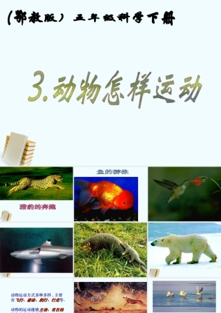 五年级科学下册 16.1 动物运动方式的多样性课件 鄂教版