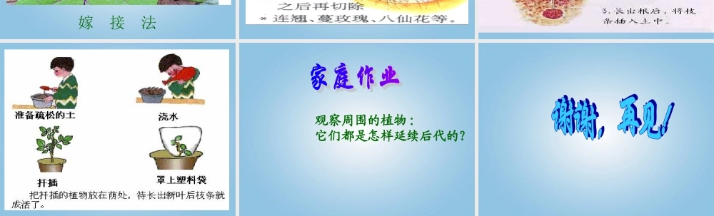 五年级科学下册 不用种子也能繁殖吗1课件 苏教版
