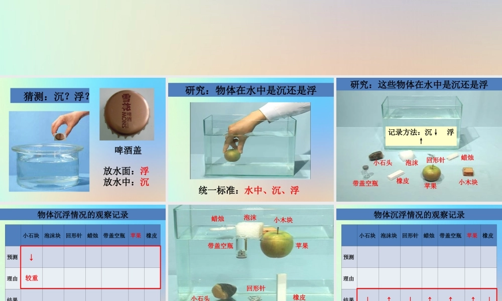 五年级科学下册 沉和浮 1物体在水中是沉还是浮课件 教科版-教科版小学五年级下册自然科学课件