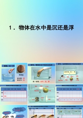 五年级科学下册 沉和浮 1物体在水中是沉还是浮课件 教科版-教科版小学五年级下册自然科学课件