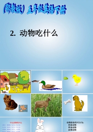 五年级科学下册 动物吃什么1课件 鄂教版