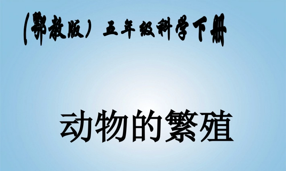 五年级科学下册 动物的繁殖1课件 鄂教版