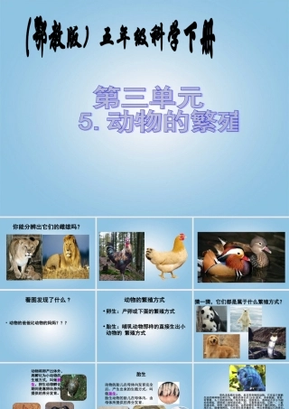 五年级科学下册 动物的繁殖2课件 鄂教版