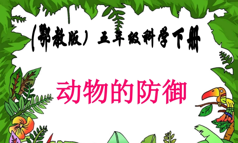 五年级科学下册 动物的防御1课件 鄂教版