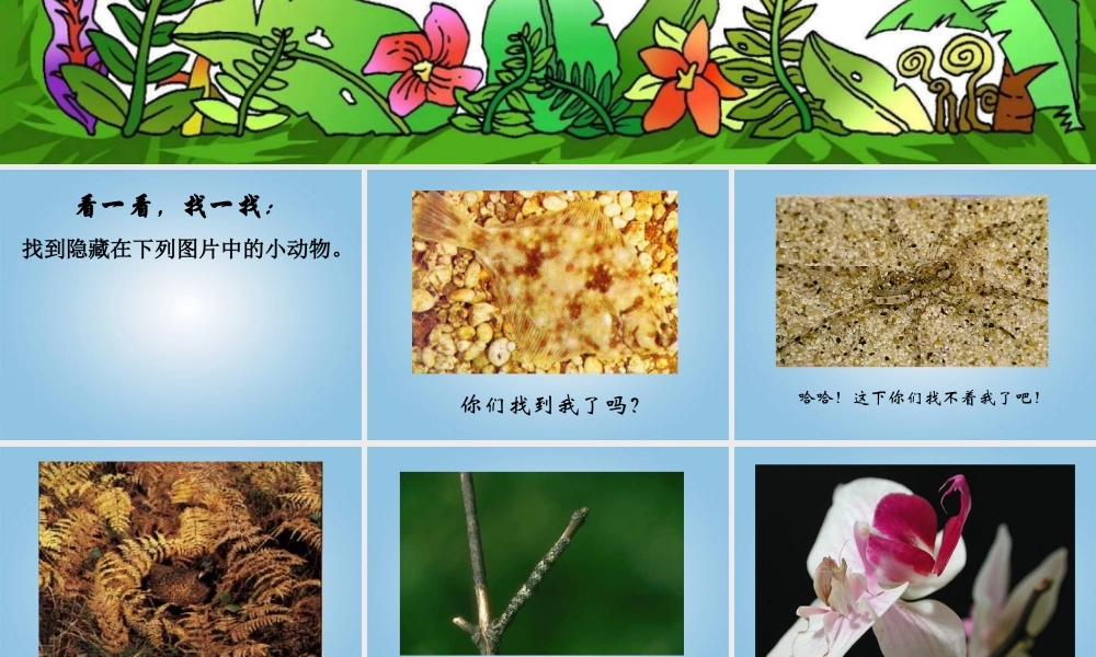 五年级科学下册 动物的防御1课件 鄂教版