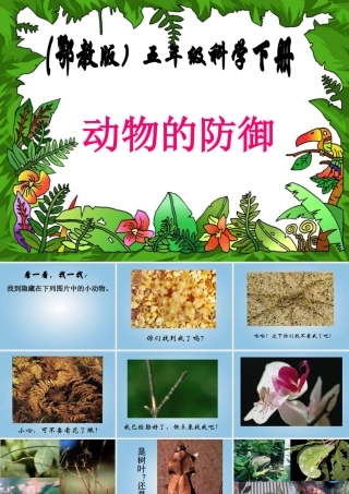 五年级科学下册 动物的防御1课件 鄂教版