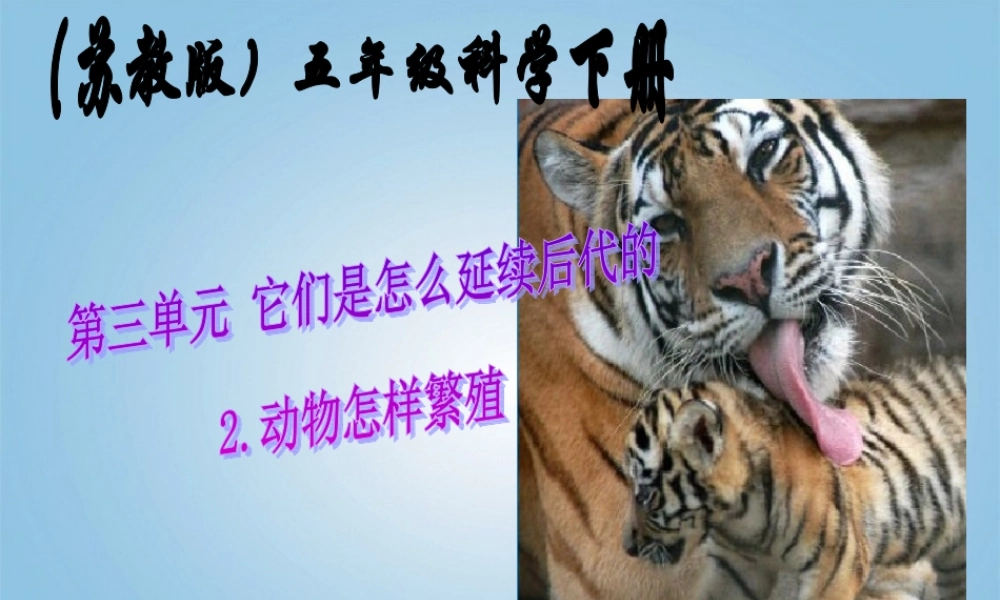 五年级科学下册 动物怎样繁殖后代1课件 苏教版
