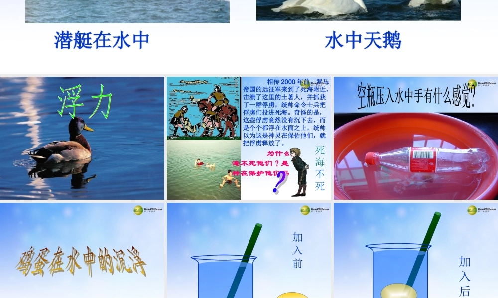 五年级科学下册 浮力课件2 教科版