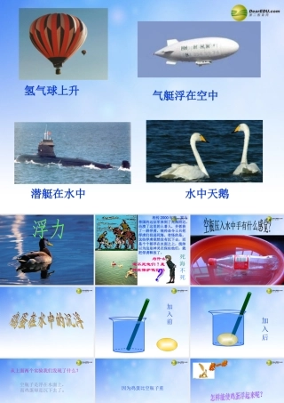 五年级科学下册 浮力课件2 教科版