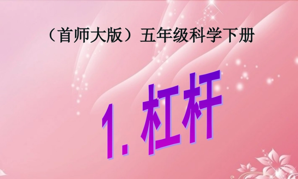 五年级科学下册 杠杆 2课件 首师大版