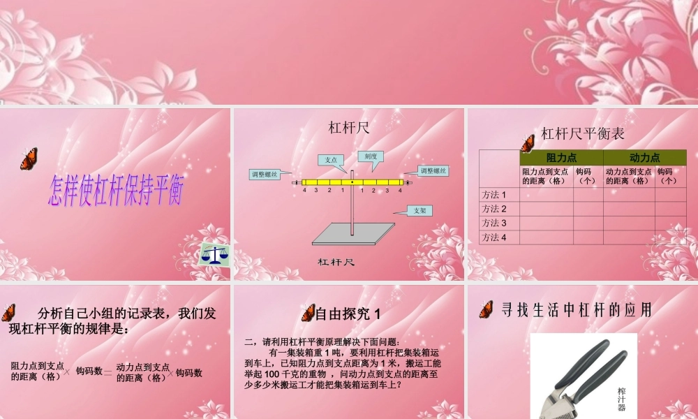 五年级科学下册 杠杆 2课件 首师大版