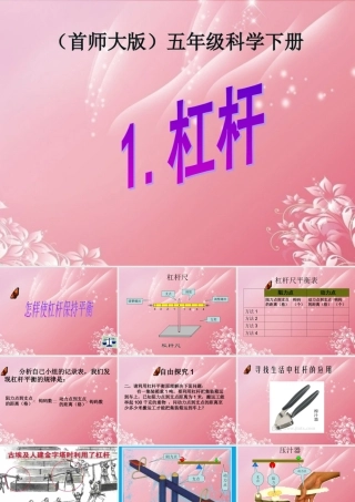 五年级科学下册 杠杆 2课件 首师大版