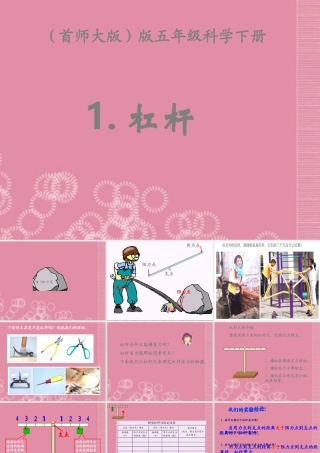 五年级科学下册 杠杆 5课件 首师大版