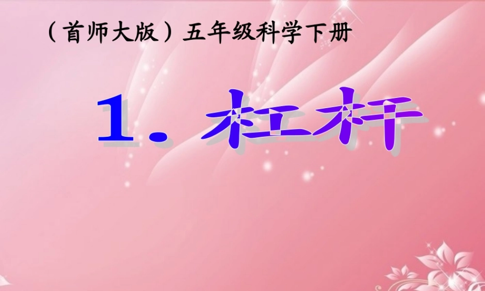 五年级科学下册 杠杆 6课件 首师大版