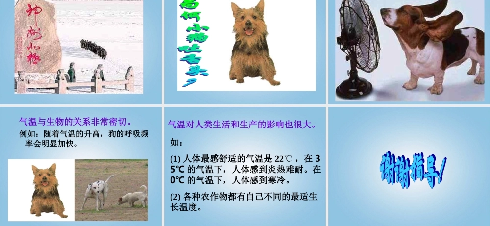 五年级科学下册 热起来了2课件 教科版