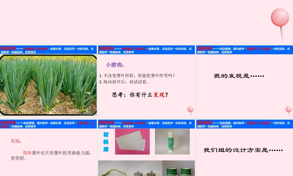 五年级科学下册 第五单元 科技与能源 第19课《生物的启示》课件1 青岛版五四制-青岛版小学五年级下册自然科学课件