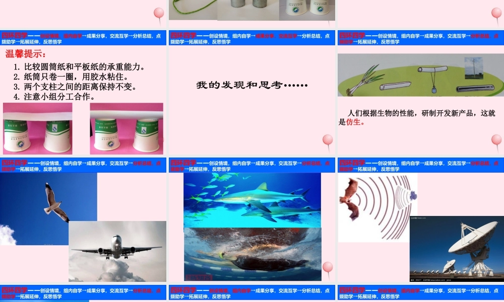 五年级科学下册 第五单元 科技与能源 第19课《生物的启示》课件1 青岛版五四制-青岛版小学五年级下册自然科学课件