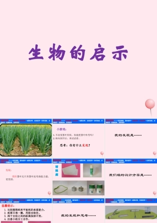 五年级科学下册 第五单元 科技与能源 第19课《生物的启示》课件1 青岛版五四制-青岛版小学五年级下册自然科学课件