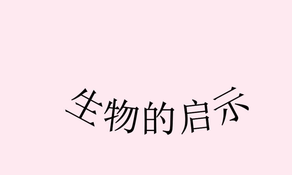 五年级科学下册 第五单元 科技与能源 第19课《生物的启示》课件2 青岛版五四制-青岛版小学五年级下册自然科学课件