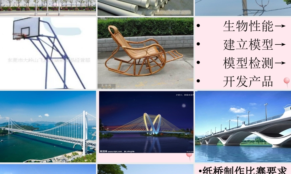 五年级科学下册 第五单元 科技与能源 第19课《生物的启示》课件2 青岛版五四制-青岛版小学五年级下册自然科学课件