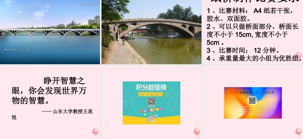 五年级科学下册 第五单元 科技与能源 第19课《生物的启示》课件2 青岛版五四制-青岛版小学五年级下册自然科学课件