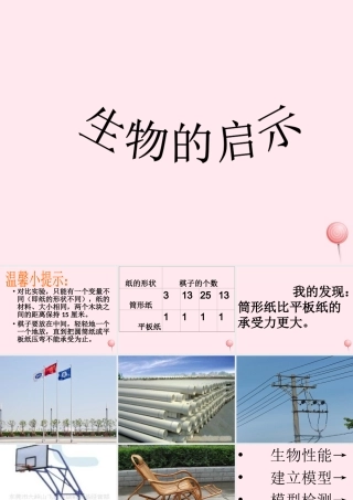 五年级科学下册 第五单元 科技与能源 第19课《生物的启示》课件2 青岛版五四制-青岛版小学五年级下册自然科学课件