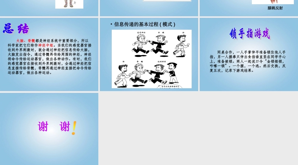 五年级科学下册 神经1课件 苏教版