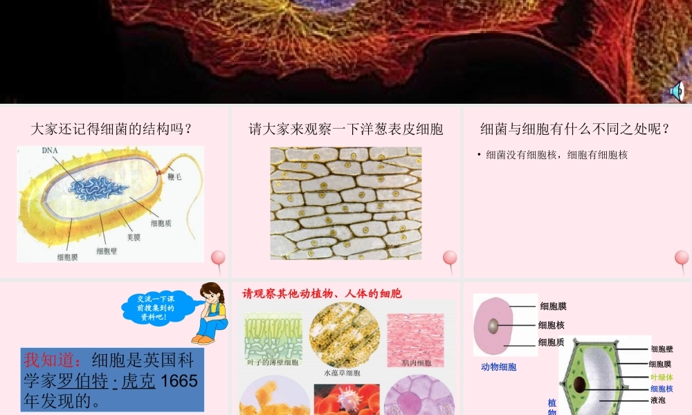 五年级科学下册 第一单元 人的一生 第1课《细胞》课件1 青岛版五四制-青岛版小学五年级下册自然科学课件